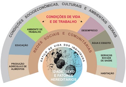 O combate ao <em>Aedes</em> sob a ótica dos determinantes sociais da saúde