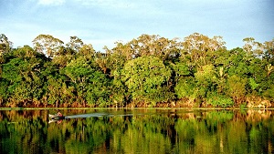 A Floresta Amazônica no Ensino Fundamental