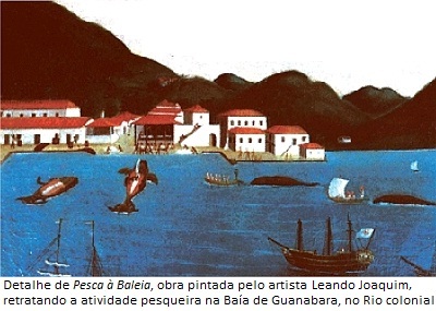 RIO1600-PESCABALEIA2