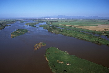 agua pdosul ana campos